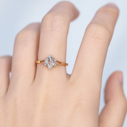 Rose | Ring | Vermächtnis