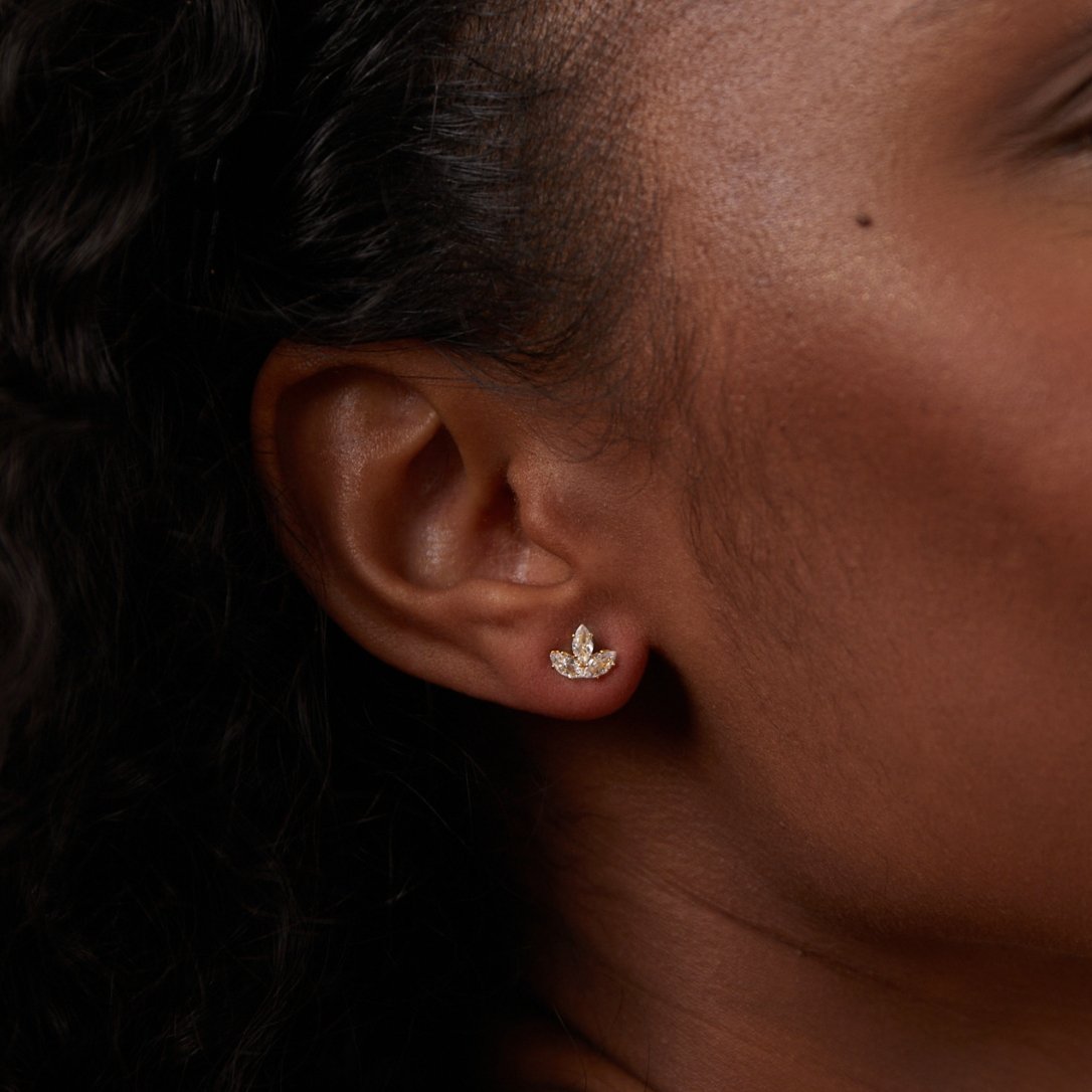 Glanzender Lotus Wasserfall