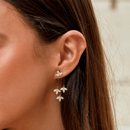 Glanzender Lotus Wasserfall