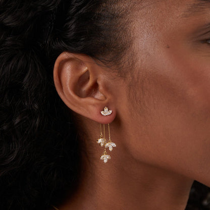 Glanzender Lotus Wasserfall